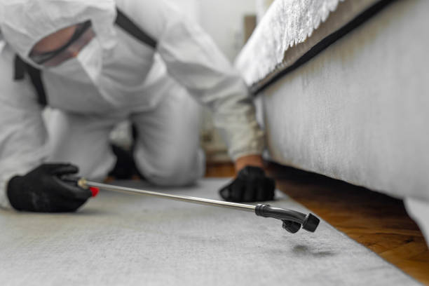 Professional Cockroach Control technician working in Newark, CA